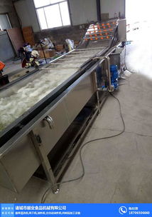 順業食品機械 氣泡清洗機研發與廠址信息